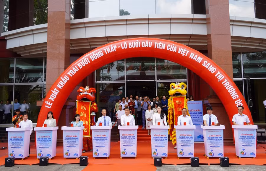 Đại biểu thực hiện nghi thức xuất hành lô hàng. Ảnh: Nguyệt Ánh.