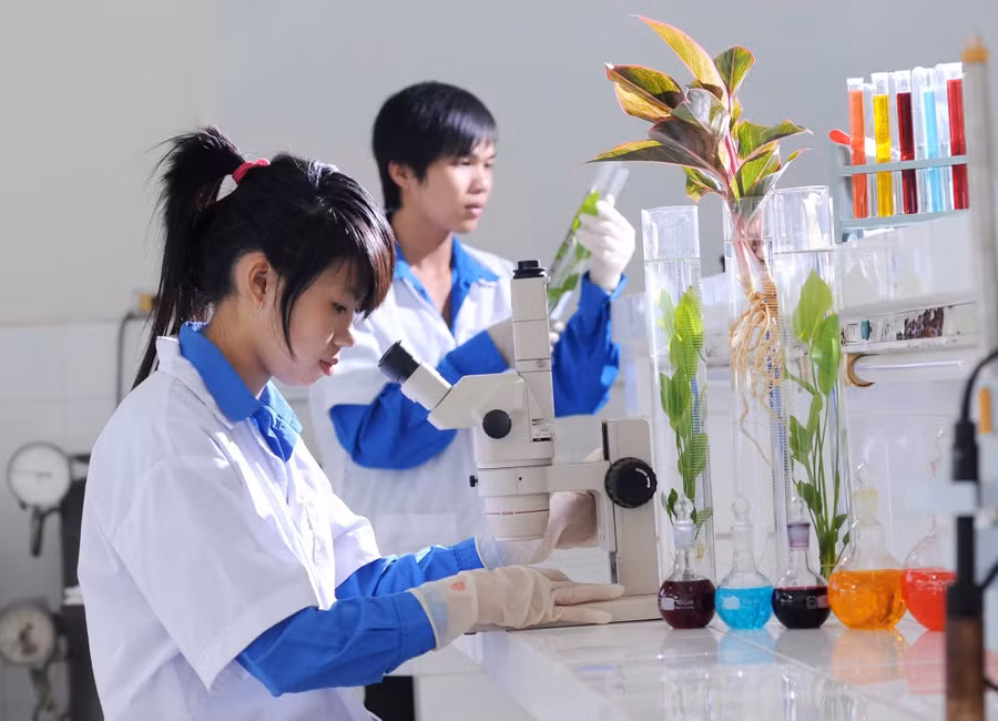 Tự chủ giáo dục không còn bị ràng buộc bởi tài chính, mở đường cho các trường phát huy năng lực, sáng tạo và nâng cao chất lượng đào tạo. Ảnh minh họa.