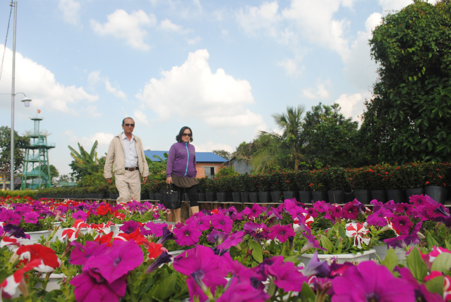 Làng hoa Sa Đéc có lịch sử hàng trăm năm, được nhiều du khách gần xa biết đến.