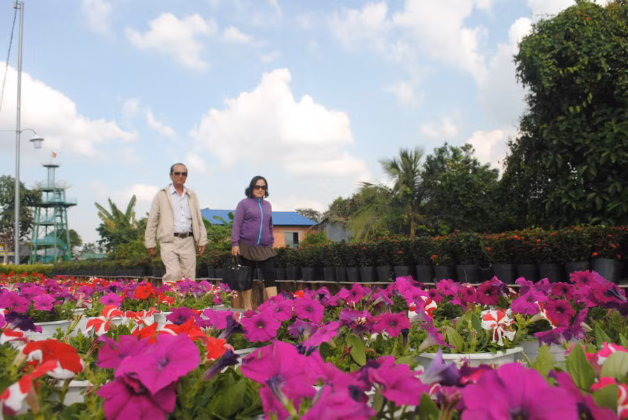 Làng hoa Sa Đéc có lịch sử hàng trăm năm, được nhiều du khách gần xa biết đến.