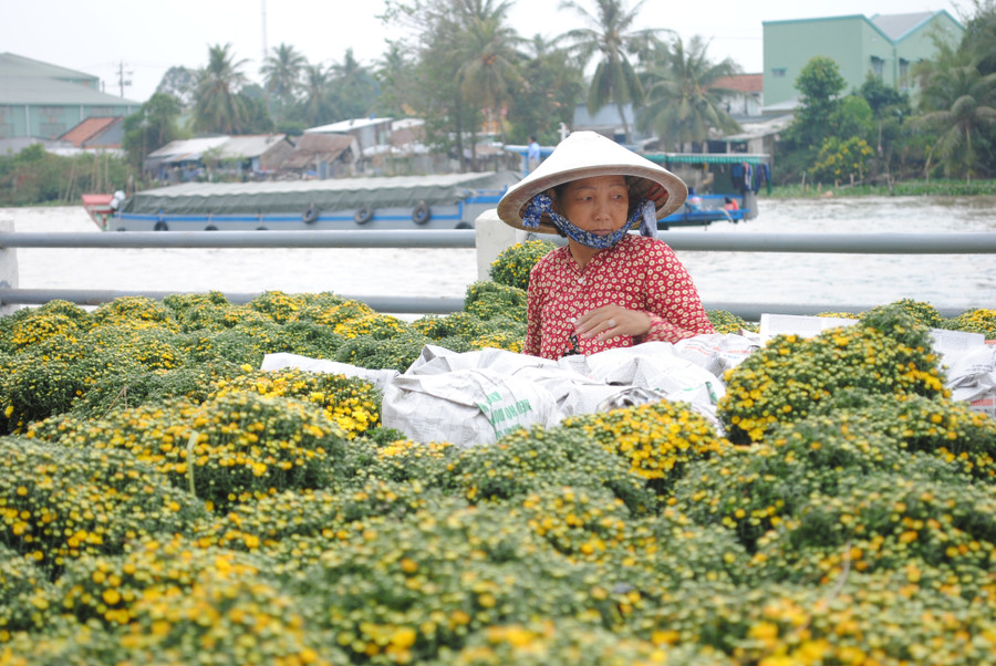 Với lịch sử hàng trăm năm, nghề trồng hoa kiểng Sa Đéc được đưa vào danh mục: Di sản văn hóa phi vật thể quốc gia.