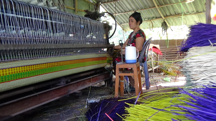 Đồng Tháp đang triển khai nhiều dự án hỗ trợ phát triển sản xuất, kinh doanh nhằm tạo việc làm, sinh kế bền vững cho người dân. Ảnh minh họa. dsc00798.jpg