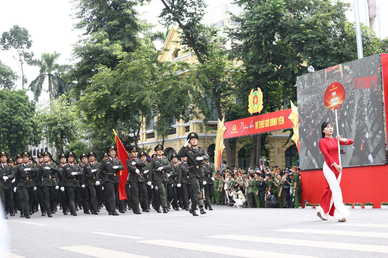 antd3111.jpg