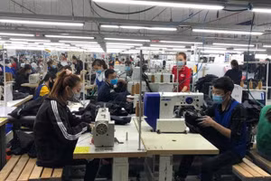 Những tháng cuối năm, thị trường lao động trên địa bàn Thanh Hoá tiếp tục ghi nhận những dấu hiệu phục hồi tích cực.