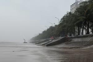 Nhiều nơi ven biển ở Thanh Hoá mưa to kèm gió mạnh.