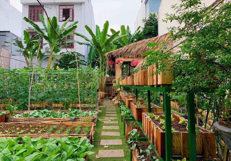 Dù khu vườn chỉ có diện tích nhỏ nhưng mẫu nhà vườn này hoàn toàn có thể chinh phục bất cứ ai, bởi sự xinh xắn đáng yêu từ những khu vườn ngay hàng thẳng lối. 14 khu vườn trồng rau đẹp mê mẩn