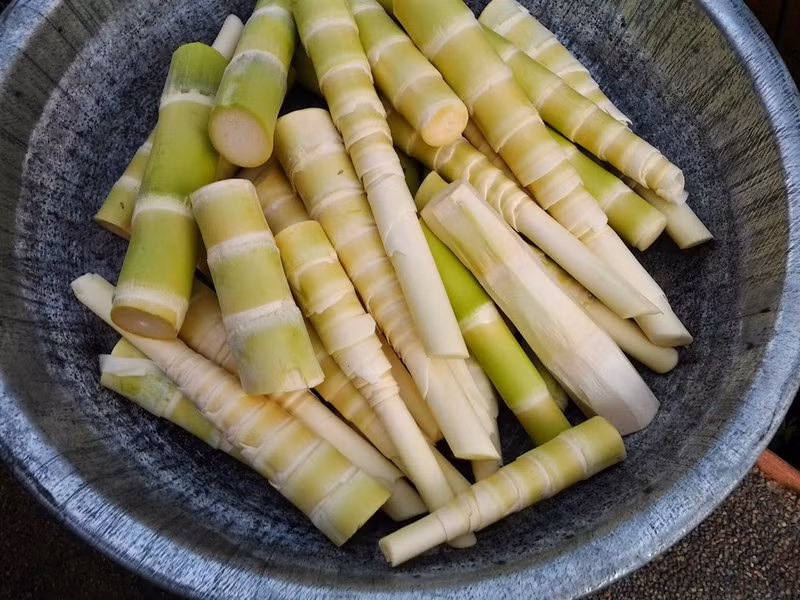 Trong măng tươi chứa hàm lượng cyanide rất cao. Vì thế trước khi ăn, bạn phải sơ chế cẩn thận, ngâm và luộc qua để loại bỏ các chất không có lợi cho sức khỏe, đặc biệt là gan. Điểm danh 10 loại thực phẩm là khắc tinh của gan