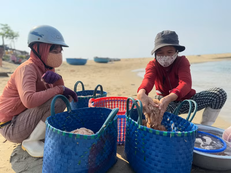 Buổi sáng tại bờ biển Khê Tân, xã Tịnh Khê (TP Quảng Ngãi), nhiều thương lái chờ sẵn để thu mua ruốc biển vừa được các tàu đánh bắt về. Ngư dân Quảng Ngãi thu tiền triệu mỗi ngày nhờ ruốc biển