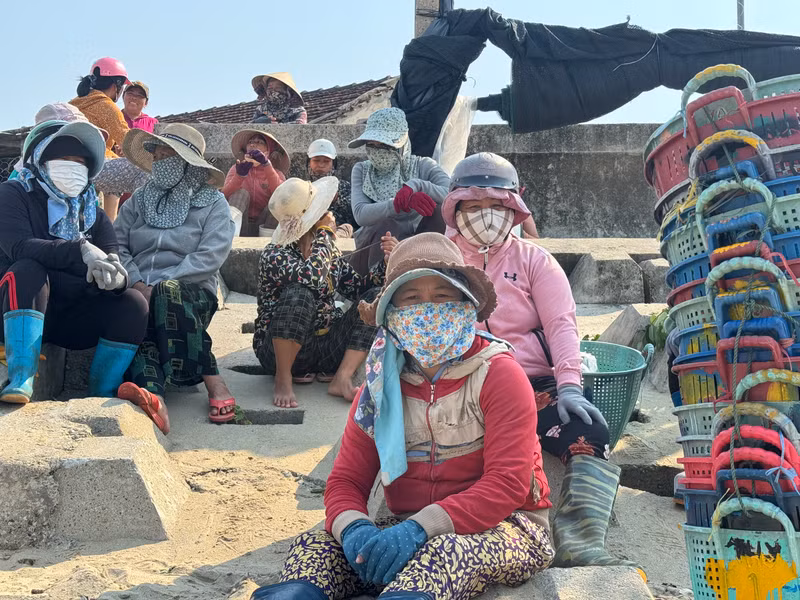 Những thương lái túc trực chờ tàu đánh bắt ruốc cập bến. Ngư dân Quảng Ngãi thu tiền triệu mỗi ngày nhờ ruốc biển
