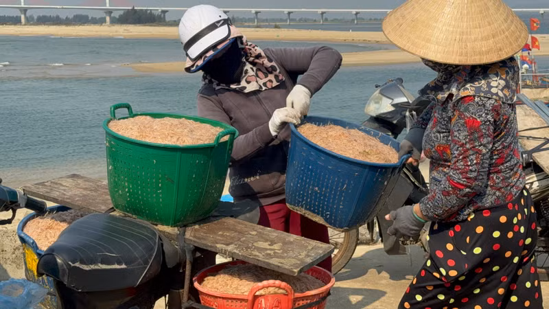 Theo ngư dân Cao Văn Tứ, ở xã Tịnh Kỳ (TP Quảng Ngãi), mỗi tàu đánh bắt ruốc thường có 1 - 3 thuyền viên. Mùa ruốc năm nay, hầu như tàu nào ra khơi cũng có thu nhập khá. Mỗi ngày, một tàu có thể đi 1 - 3 chuyến, sau khi trừ phí tổn, mỗi ngư dân có thể bỏ túi 1 - 3 triệu đồng/ngày. Ngư dân Quảng Ngãi thu tiền triệu mỗi ngày nhờ ruốc biển