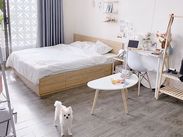 Mẫu decor phòng trọ chi phí thấp nhưng vẫn xinh lung linh. Cách bài trí phòng trọ 15m2 vừa chất vừa tiện nghi