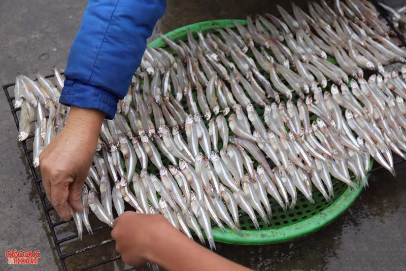 Thơm lừng làng nướng cá biển ở Nghệ An