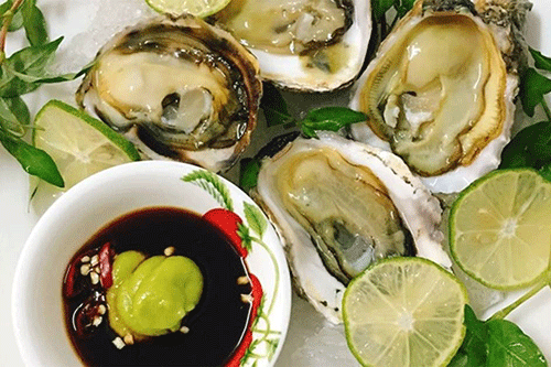Nhiều người đang ăn hàu sai cách, rước thêm bệnh vào người ảnh 2 Nhiều người đang ăn hàu sai cách, rước thêm bệnh vào người ảnh 2