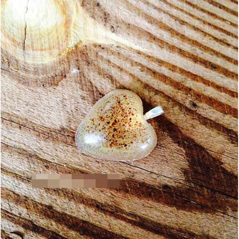 Đây như một món quà ghi dấu ngày con chào đời. Làm vật trang trì bằng nhau thai