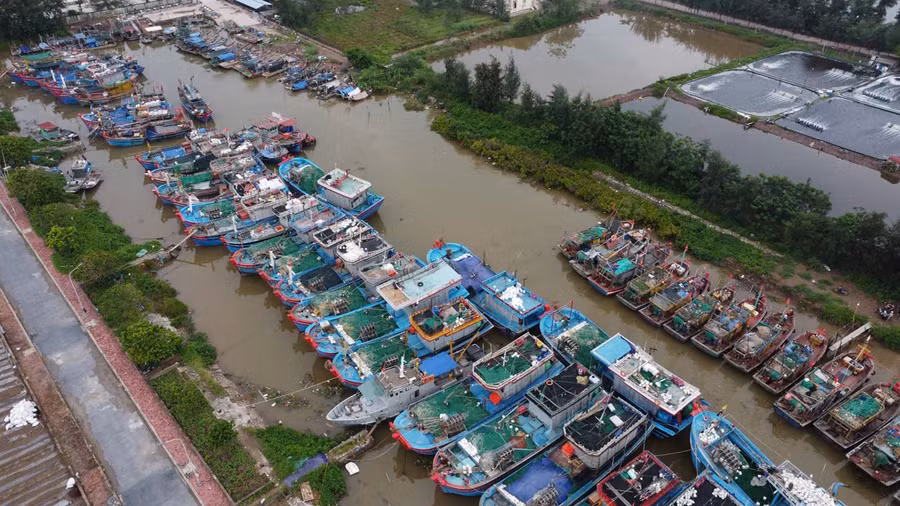Khu neo đậu tàu thuyền tại cảng cá Ninh Cơ (Ninh Bình).