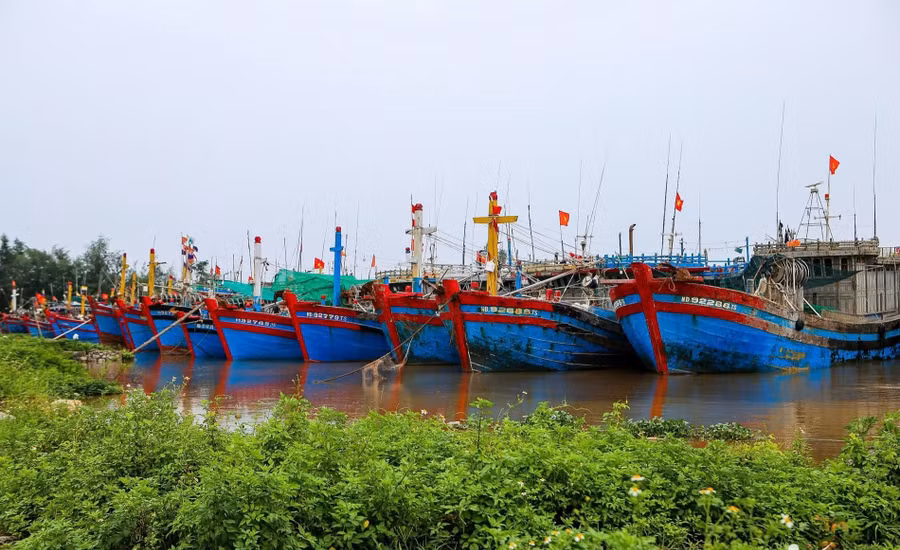 Khu neo đậu tàu thuyền tại cảng cá Ninh Cơ (Ninh Bình).