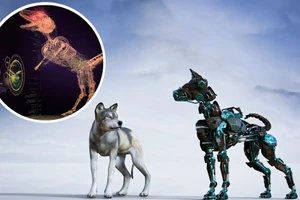 Các nhà nghiên cứu đã tạo ra những con vật ảo và thả chúng vào một thế giới nhân tạo, giao cho chúng những nhiệm vụ về cách di chuyển, tránh chướng ngại vật và tìm kiếm thức ăn. (Hình ảnh minh họa)