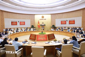Hội nghị của Chính phủ quán triệt, triển khai Tổng kết việc thực hiện Nghị quyết số 18-NQ/TW. (Ảnh: Dương Giang/TTXVN) 