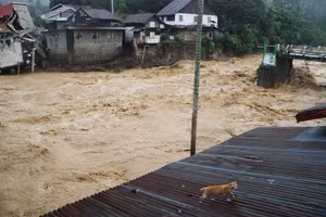 Cảnh thảm họa lũ lụt và sạt lở ở Indonesia cướp đi nhiều sinh mạng