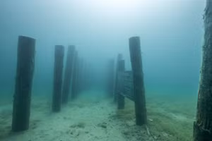 Những cọc gỗ được lập bản đồ.