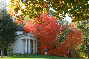 Thế giới rực rỡ sắc thu qua ống kính nhiếp ảnh gia Reuters