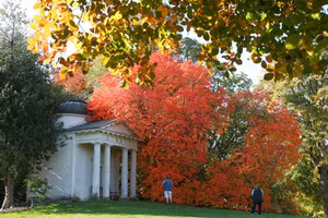 Thế giới rực rỡ sắc thu qua ống kính nhiếp ảnh gia Reuters