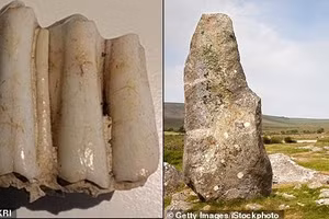 Chiếc răng hé lộ bí mật 5.000 năm của Stonehenge