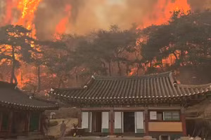 Chùm ảnh cháy rừng dữ dội làm chết 18 người và phá hủy ngôi chùa 1.300 tuổi