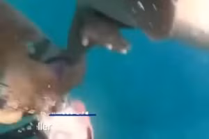 Kinh hoàng khoảnh khắc cá mập tấn công nữ du khách khi lặn tự do