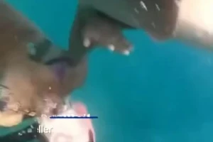 Kinh hoàng khoảnh khắc cá mập tấn công nữ du khách khi lặn tự do