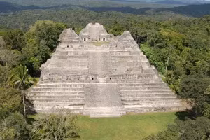 Thành phố Caracol bị tàn phá của người Maya ở Belize nổi bật với kim tự tháp Caana, nơi từng là một ngôi đền. Ngôi mộ mới được tìm thấy nằm trong một khu vực cao ngay bên phải, bên dưới tán cây hiện đại (Nguồn ảnh: Dự án Khảo cổ học Caracol, Đại học Houston)