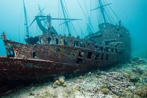 Thợ lặn không thể tin vào tuổi của một con tàu đắm mất tích. Ảnh: Marcoriveroph - Getty Images