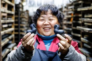 Vẻ đẹp bí ẩn của thỏi mực Huy Châu hình ngựa