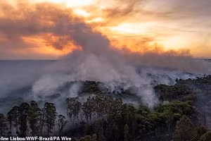 Thảm họa khí hậu bắt đầu: Rạn san hô và rừng Amazon trước bờ vực sụp đổ