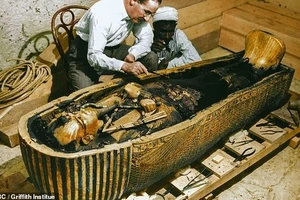 Bí mật nghi lễ vua Tutankhamun hé lộ từ cổ vật kỳ lạ
