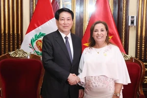 Chủ tịch nước Lương Cường và Tổng thống Peru Dina Ercilia Boluarte Zegarr. (Ảnh: Lâm Khánh/TTXVN) 