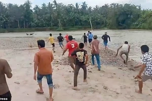 Nỗ lực tìm kiếm cụ ông bị cá sấu 3 mét kéo đi trước mắt dân làng