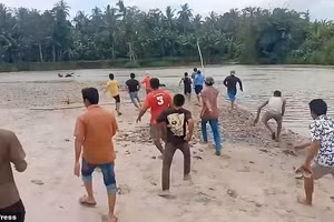 Nỗ lực tìm kiếm cụ ông bị cá sấu 3 mét kéo đi trước mắt dân làng
