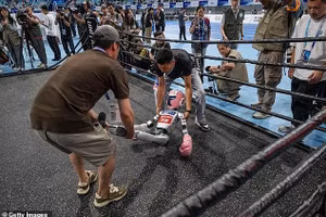 Giải đấu robot lớn nhất hành tinh: Cười ra nước mắt với loạt sự cố bất ngờ