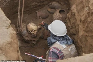 Các công nhân xây dựng ở Lima, Peru, đã vô cùng kinh ngạc khi tìm thấy hài cốt của một xác ướp 1.000 năm tuổi trong một ngôi mộ ẩn dưới lòng đường thành phố.