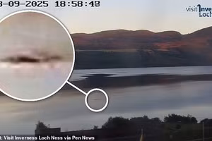 Thợ săn ‘quái vật hồ Loch Ness’ sửng sốt khi sinh vật dài hơn 5m nổi lên giữa hồ
