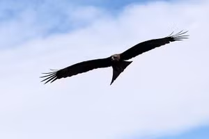 (Ảnh: RIA Novosti)