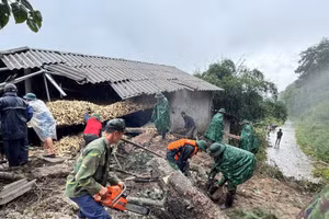 Cán bộ, chiến sỹ Đồn Biên phòng Lũng Cú khẩn trương dọn dẹp, dựng lại nhà cho người dân vùng ảnh hưởng của bão số 10. (Ảnh: TTXVN phát) 