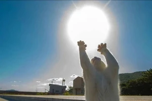 Những bức ảnh trầm trồ về khoảnh khắc của mèo