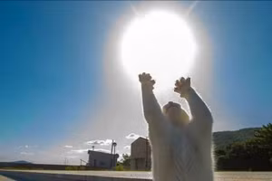 Những bức ảnh trầm trồ về khoảnh khắc của mèo