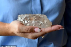 Những bức ảnh cho thấy viên kim cương khổng lồ nằm trong lòng bàn tay của một ai đó, với kích thước khổng lồ của nó được minh họa rõ hơn bằng hình ảnh nó to hơn một quả bóng gôn.