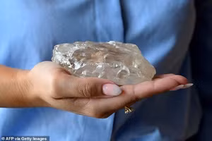 Những bức ảnh cho thấy viên kim cương khổng lồ nằm trong lòng bàn tay của một ai đó, với kích thước khổng lồ của nó được minh họa rõ hơn bằng hình ảnh nó to hơn một quả bóng gôn.