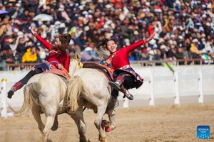 Sôi động lễ hội cưỡi ngựa mừng năm mới tại Lhasa