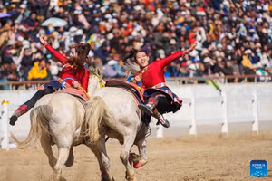 Sôi động lễ hội cưỡi ngựa mừng năm mới tại Lhasa