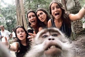 Khoảnh khắc động vật dễ thương khiến người xem bật cười